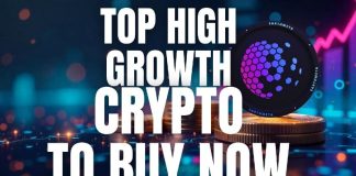 Prime 5 Excessive-Progress Crypto for Large Positive factors to Enter in January 2025