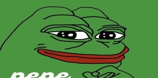 Dogecoin and Pepe Coin Poised for Main January Surges: Might Wall Road Pepe Be the Subsequent Breakout?