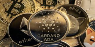 Cardano 2025 Roadmap: Will Charles Hoskinson’s Imaginative and prescient Propel ADA to New Heights?