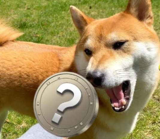 Mid-2025 Predictions: Three Altcoins Able to Surpass Shiba Inu’s Legendary Surge Mid-2025 Predictions: Three Altcoins Able to Surpass Shiba Inu’s Legendary Surge
