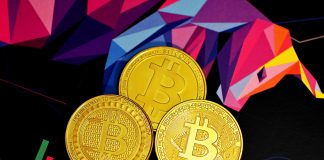 Trump-Fuelled Bitcoin Rally Might Fade Forward Of January FOMC Assembly: Report