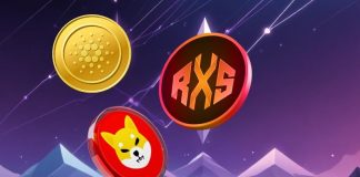 High Three Cryptocurrencies Priced Under $1 That Would possibly Beat and Outshine Cardano (ADA) and Shiba Inu (SHIB) in 2025