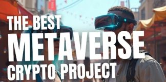 Prime Metaverse Crypto Initiatives to Make investments In January 2025