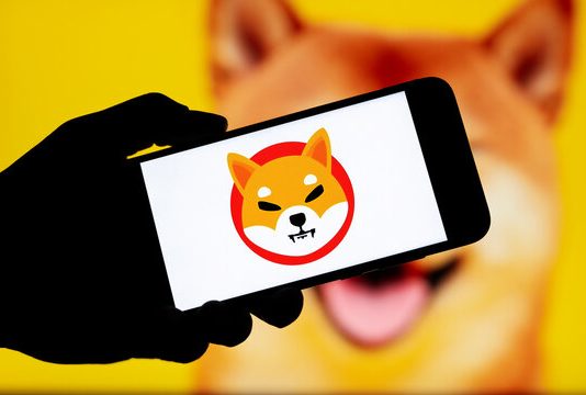 Shiba Inu Grapples With Heavy Bearish Forces: Will Help Ranges Maintain?