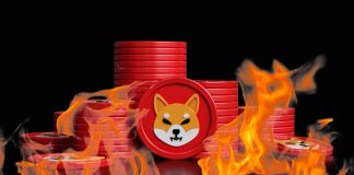 Whale Actions Push Shiba Inu Burn Fee To Gorgeous 4,100% Rise