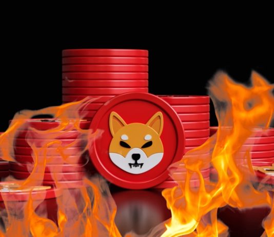 Whale Actions Push Shiba Inu Burn Fee To Gorgeous 4,100% Rise