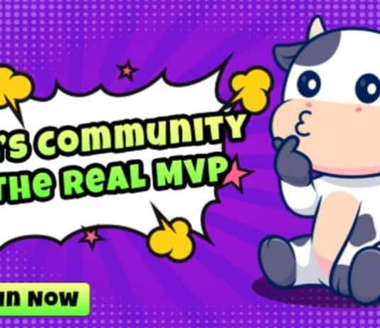 BTFD Coin: A New Participant within the Play-to-Earn Gaming Area with Huge ROI Potential