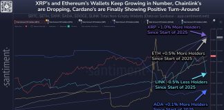 Dogecoin Hodlers Surge In 2025: Will Value Skyrocket Subsequent?