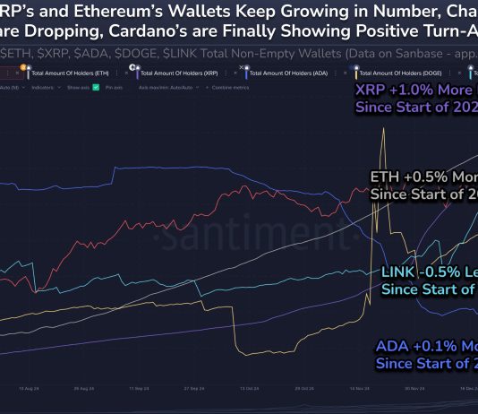 Dogecoin Hodlers Surge In 2025: Will Value Skyrocket Subsequent?