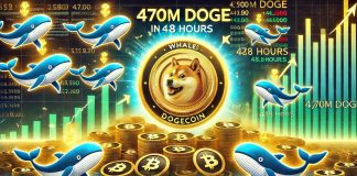 Whales Purchase 470 Million Dogecoin In 48 Hours As Value Assessments Essential Demand Stage – Particulars