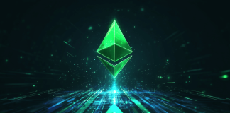 The Crypto Bull Run Isn’t Over, Four Greatest Altcoins Presales Pumping Proper Now