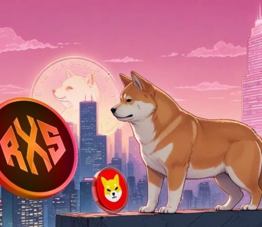 Shiba Inu Lengthy Time period Potential Seems Unsure, however This SHIB Various Priced at $0.175 May Save Your Portfolio