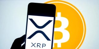 XRP $100 Goal: Monetary Professional Sheds Mild On The Declare