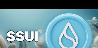 SUI Bearish Transfer Gathers Tempo After A Breach Beneath Key Shifting Common