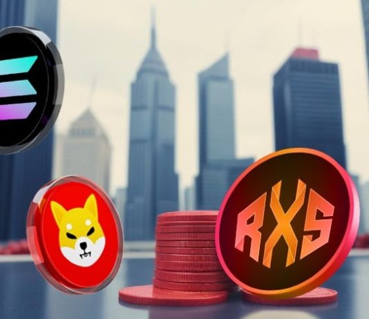 Solana (SOL) and Shiba Inu (SHIB) Had been Huge in 2021 however May Be Changed in 2025 by These 2 Tokens