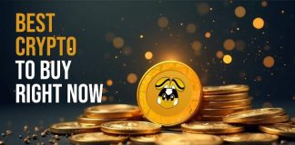 5 Finest Crypto to Purchase Now: High Picks Below $1 That Might Explode within the 2025 Bull Run