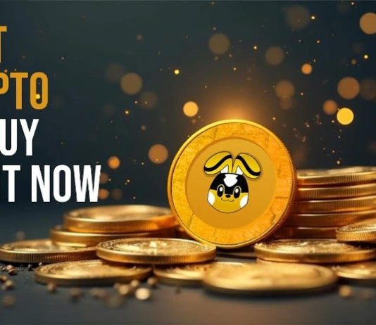 5 Finest Crypto to Purchase Now: High Picks Below $1 That Might Explode within the 2025 Bull Run