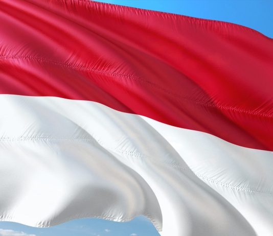 Indonesia Crypto Market Surges 200% 12 months-on-12 months, Can It Gasoline an Altcoin Bull Run?