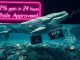 XRP Rallies 12% as Whales Proceed Aggressive Accumulation: Santiment XRP Rallies 12% as Whales Proceed Aggressive Accumulation: Santiment
