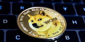 Dogecoin Open Curiosity Spikes To Practically $5 Billion – Influence On Worth