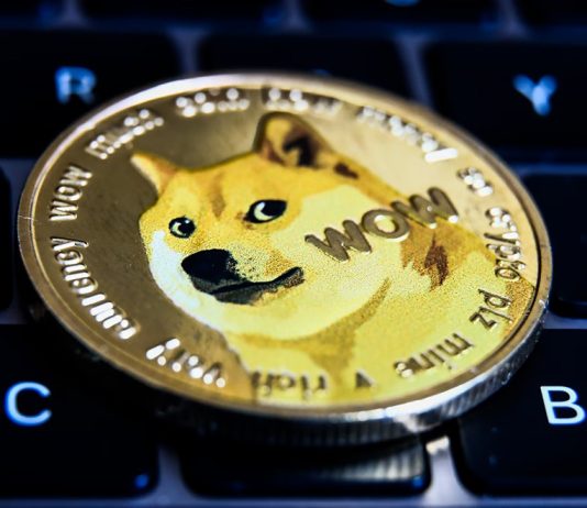 Dogecoin Open Curiosity Spikes To Practically $5 Billion – Influence On Worth