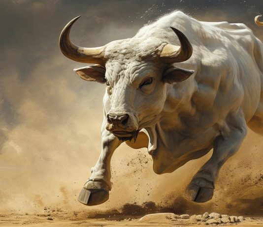 ‘Grand Bull Market’ For Cardano? Analyst Declares The Backside Is In