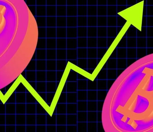 Crypto Market Explodes In a single day – The Trump Impact Ramps Up Days Forward Of Inauguration