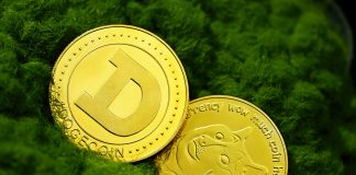 Dogecoin’s Bullish Push Beneficial properties Steam, A Retest To $0.four Forward Dogecoin’s Bullish Push Beneficial properties Steam, A Retest To $0.four Forward