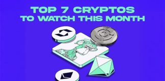 High 7 Finest Cryptos for Lengthy-Time period Funding: Don’t Miss These Life-Altering Alternatives!