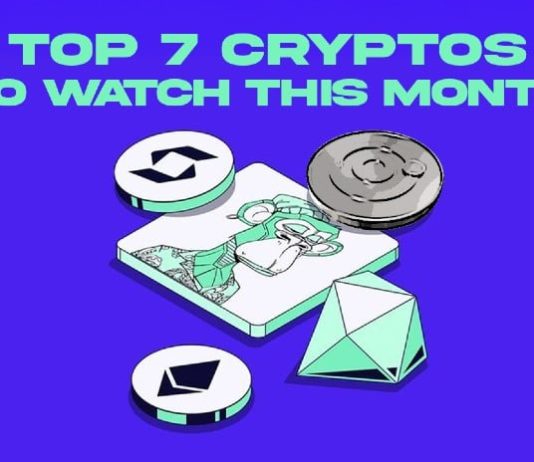 High 7 Finest Cryptos for Lengthy-Time period Funding: Don’t Miss These Life-Altering Alternatives!