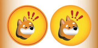 Meme Coin BONK Faces Value Correction: Can Bulls Regain Management?