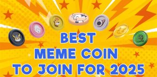 three Prime New Meme Cash to Be a part of for 2025: Don’t Miss These Thrilling Picks