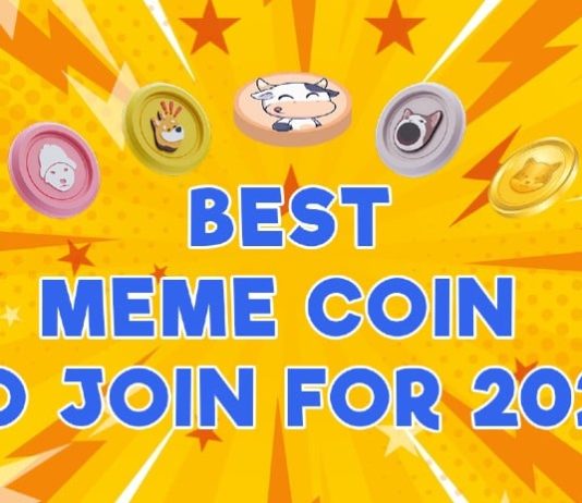 three Prime New Meme Cash to Be a part of for 2025: Don’t Miss These Thrilling Picks