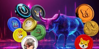 Greatest Crypto Presales to Spend money on: Prime New Cash Itemizing This Month