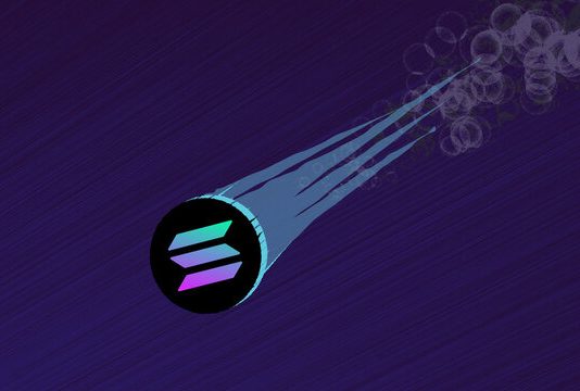 Solana Bulls Counter Bearish Strain To Preserve Value Above $240