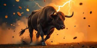 When is the Subsequent Crypto Bull Run? Put money into Prime Altcoins To Purchase Now For a Market Rally-Prepared Portfolio 