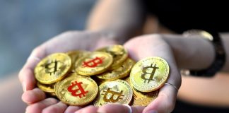 Eight US States Suggest a Bitcoin Reserve Earlier than Trump’s Inauguration, Bullish for New Crypto in 2025?