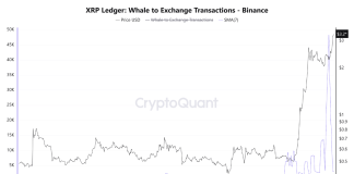 XRP Whale Binance Deposits Skyrocket: Key Holders Getting ready For Revenue-Taking?