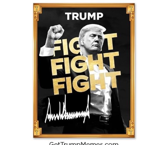 These 6 Meme Cash May Explode Following $TRUMP and $MELANIA Tokens