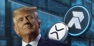 XRP Value Bull to Speed up When Trump Takes Over, Why That is Good Information for this Rising Altcoin