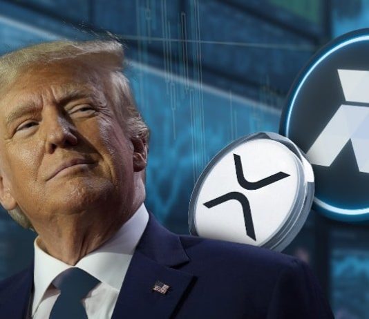 XRP Value Bull to Speed up When Trump Takes Over, Why That is Good Information for this Rising Altcoin