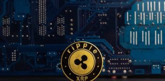 XRP to $4+ in 2025? —Is ADA Poised for a Main Breakout?