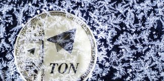 Toncoin Gears Up For A Contemporary Rally With Bullish Momentum Constructing