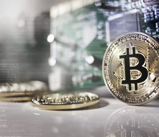 US TradFi and Crypto to Combine Beneath Trump – New Crypto to Pump within the Coming Months