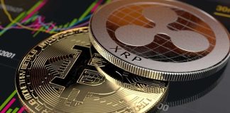 The Greatest Crypto To Put money into for Q1 2025: Ripple (XRP), Cardano (ADA), or WEPE?