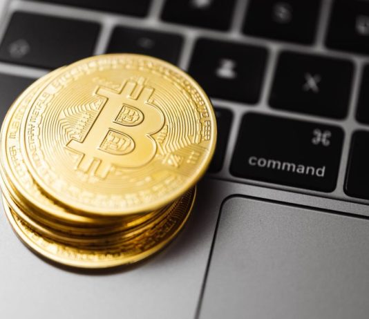 Finest Crypto Presales to Purchase Now for 100x — Larry Fink’s $700Ok Bitcoin Prediction