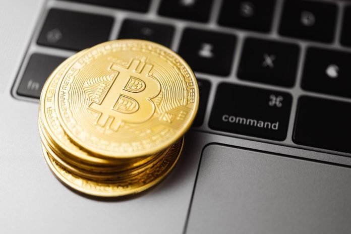 Finest Crypto Presales to Purchase Now for 100x — Larry Fink’s $700Ok Bitcoin Prediction