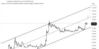 Dogecoin ETFs Will Skyrocket Worth To $15, Forecasts Analyst