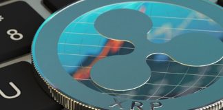 New Altcoin Mania: Ripple’s XRP Rallies, However These Cash Are Stealing the Present!