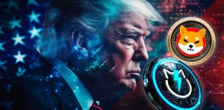 Shiba Inu Value Prediction: Can SHIB Pump 10x Underneath Trump As New Crypto JetBolt Surges